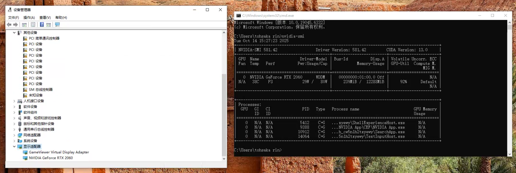 image-20251014224453230